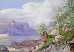 Looking Up Stream From The Mouth Of The St John's River, Kaffraria — Marianne North