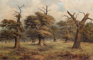 Cadzow Cattle And Oaks — George Sweet