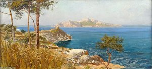 Ansicht Von Capri