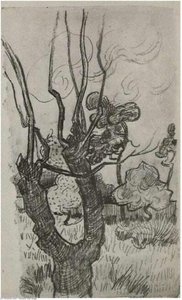 A Bare Treetop In The Garden Of The Asylum — Vincent Willem Van Gogh