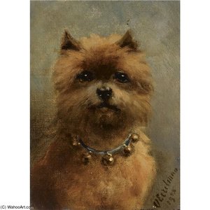 A Griffon Bruxellois