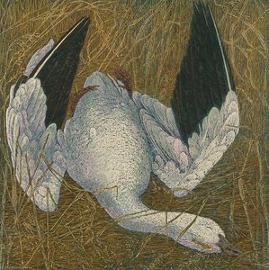 Dead Snow Goose Iii — Janet E Turner
