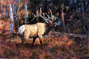 Fall Music — John Jones