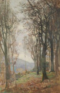 Woodland With Hills In The Distance — Benjamin Haughton