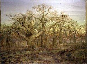 The Edge Of Sherwood Forest