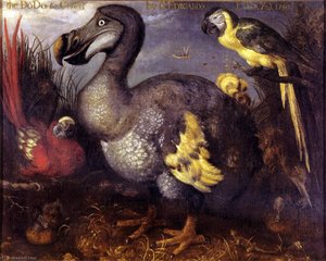 Edward's Dodo — Roelant Savery, Baroque