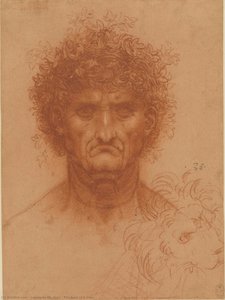 The Bust Of A Man — Leonardo Da Vinci