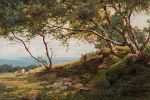 Above Corrie, Arran — John Stewart