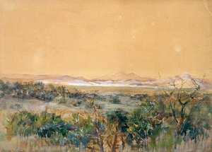 Arizona Desert, (painting)