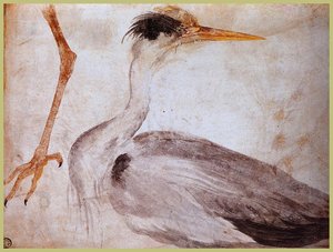 Garza — Albrecht Dürer, Northern Renaissance