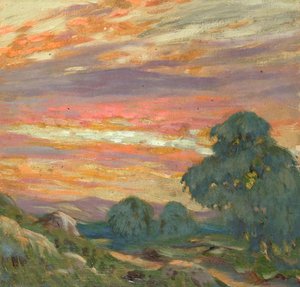 Trees and Sunset