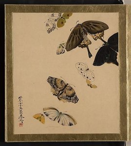 Lacquer Paintings Of Various Subjects Butterflies — Shibata Zeshin