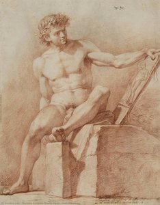 Male life study