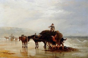 Vraicing At Ouaisne Bay, Jersey