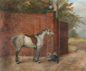 A Dapple Grey Horse With Dogs Beside A Wall — Evelyn Blacklock