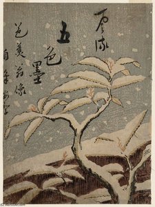 Portrait Of Bashô — Suzuki Harunobu
