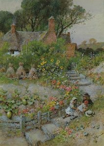 Cottage Garden In Summer