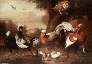 Fowls And Owl — Jakab Bogdány