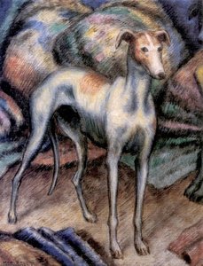 Greyhound (also known as The Whippet)