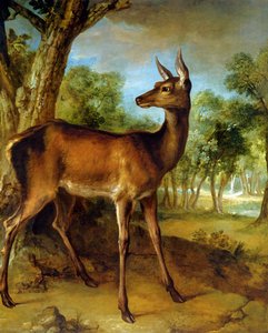 The Watchful Doe — Jean-baptiste Oudry, Baroque