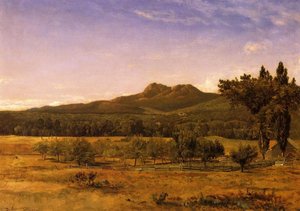 Mount Chocorua, New Hampshire — David Johnson