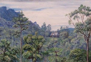 Tegoro, Sarawak — Marianne North, Academic Realism