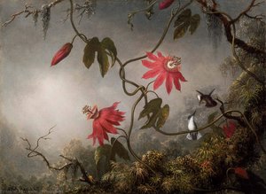 Jungle Orchids And Hummingbirds — Martin Johnson Heade, Luminism