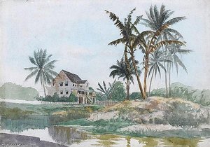 Jamaica — Robert Winter Fraser