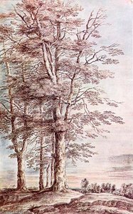 Landscape With Tall Trees — Lucas Van Uden