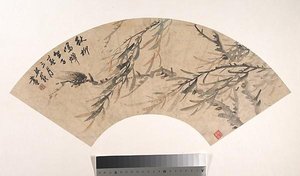 清 吳熙載 蟬柳 扇面 Cicada — Wu Xizai