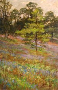 Bluebells, Cliff Park, Rudyard — George Cartlidge