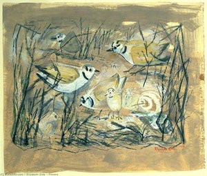 Plovers — Elizabeth Olds