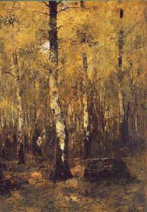 The Depth Of The Forest Ii