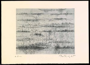 Marshes In Winter, From The Portfolio A Genesis — Gabor Peterdi