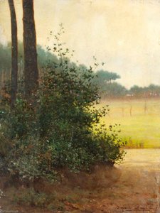 Morning Shadows — Benjamin Haughton