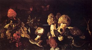 Still-life With Fungi — Paolo Porpora