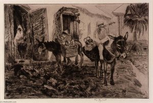 Boy and Donkeys