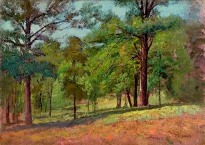 Wooded Slope (the Hill Slope, Midsummer) — Theodore Clement Steele