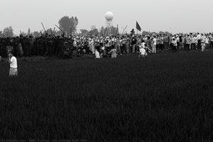 the strAnge balll #029