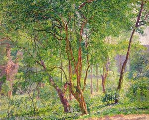 Panshanger Park, Hertfordshire — Spencer Frederick Gore