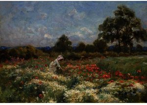 Picking Poppies