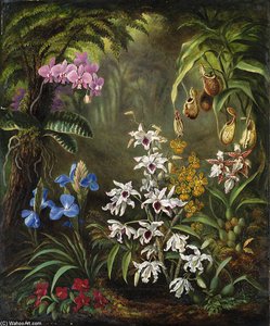 Orchids — Albrecht Dürer