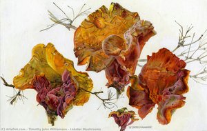 Lobster Mushrooms — Timothy John Williamson, Contemporary Realism