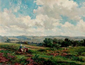 Fields in Surrey