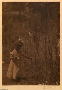 Marcia Tracy Marple — Imogen Cunningham