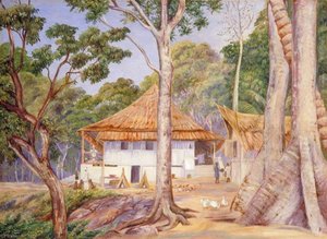 Dr And Mrs Hoad At Home In Praslin, Seychelles — Marianne North
