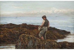 Picking Mussels