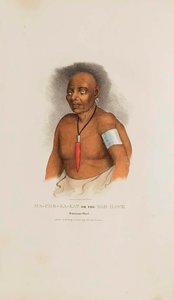 Ma Che Ka Kat Or The Bad Hawk A Monomonie Chief, From The Aboriginal Portfolio — James Otto Lewis
