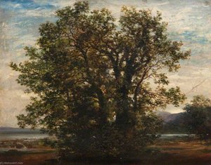 Landscape — John Milne Donald