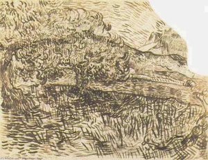 Olive Trees In A Mountain Landscape — Vincent Willem Van Gogh, Post-impressionism